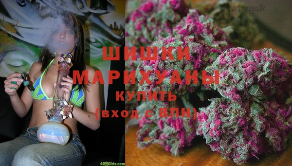 spice Россошь