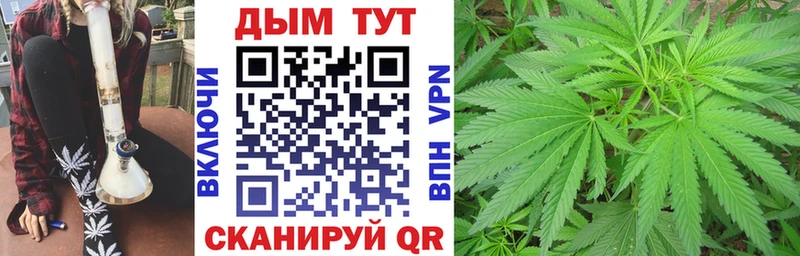 Канабис планчик Солигалич